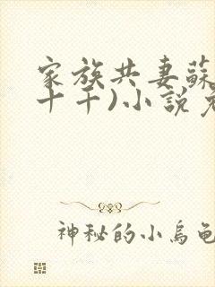 家族共妻苏苏(十千)小说免费