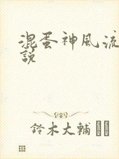 混蛋神风流史小说封面