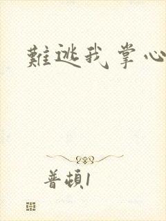 难逃我掌心
