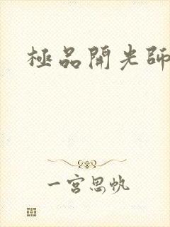 极品开光师