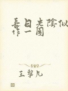 长日光阴似箭乱作一团封面