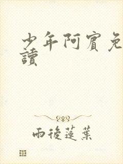 少年阿宾免费阅读