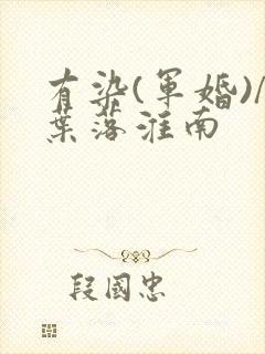 有染(军婚)/叶落淮南封面