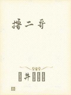 撸二哥