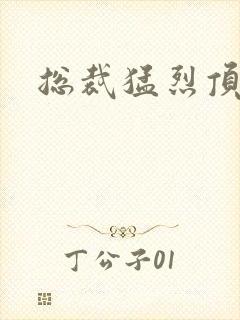 总裁猛烈顶弄h封面