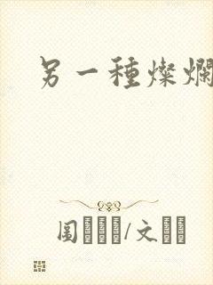 另一种灿烂生活