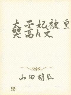 太子妃被皇上c哭高h文