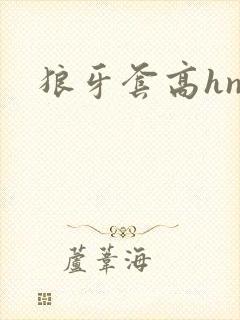狼牙套高hnp
