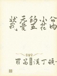 状元的小公主(我爱五花肉)封面