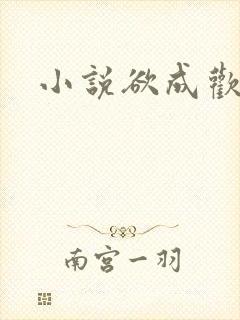 小说欲成欢