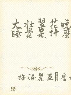 大壮翠花晚上不睡觉是什么电视剧