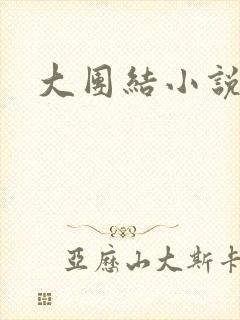 大团结小说阅读