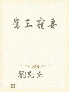 鹰王宠妻