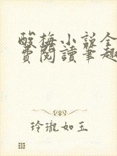 酸梅小说全文免费阅读笔趣阁封面
