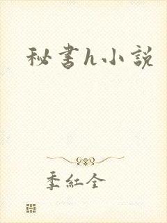 秘书h小说封面