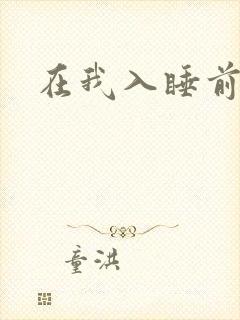 在我入睡前封面