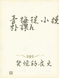 青梅从小摸到大补课h