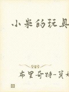 小米的玩具日记