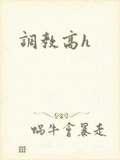 调教高h