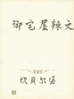 御宅屋辣文