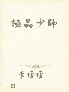 极品少帅