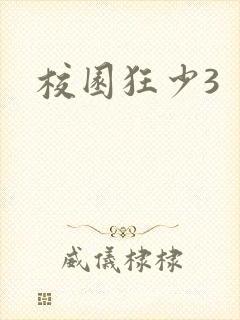 校园狂少3