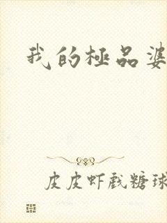 我的极品婆婆