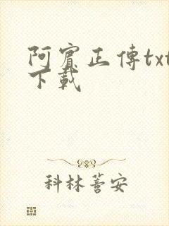 阿宾正传txt下载