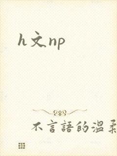 h文np封面