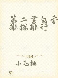 第二书包香辣肉排总排行