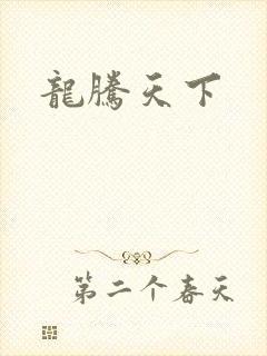 龙腾天下