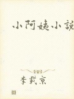 小阿姨小说封面