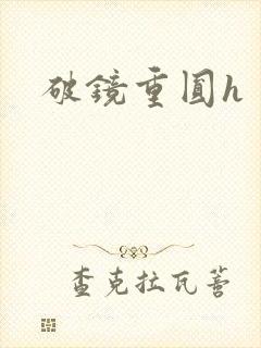 破镜重圆h