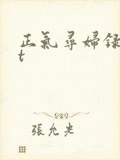 正气寻妇录txt