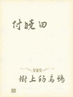付晓田