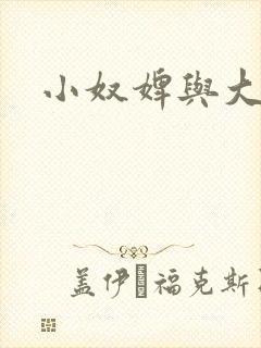 小奴婢与大少爷