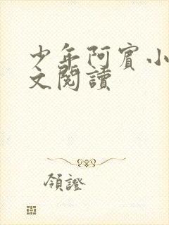 少年阿宾小说全文阅读封面