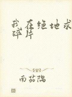 我在绝地求生捡碎片
