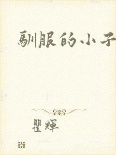 驯服的小子4