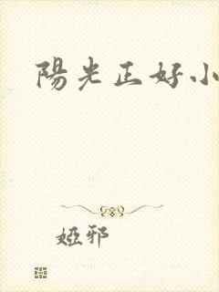 阳光正好小说