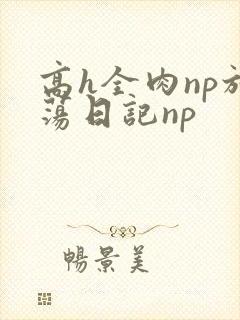 高h全肉np放荡日记np封面