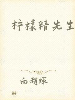 柠檬精先生