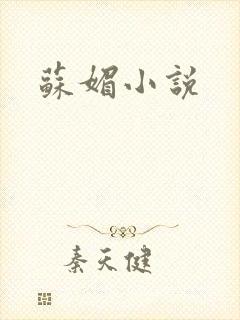 苏媚小说
