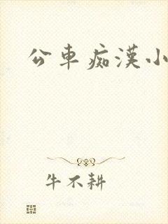 公车痴汉小说
