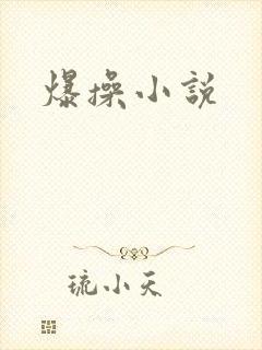 爆操小说