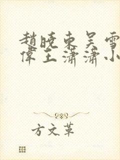 赵晓东吴雪晴郑伟王潇潇小说名字