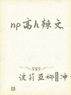 np高h辣文