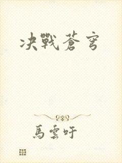 决战苍穹封面