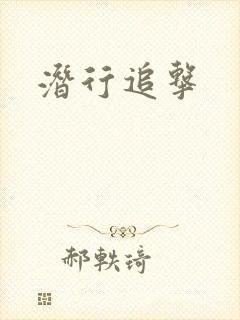 潜行追击