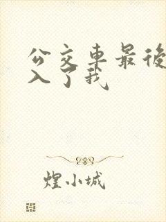 公交车最后一排入了我封面